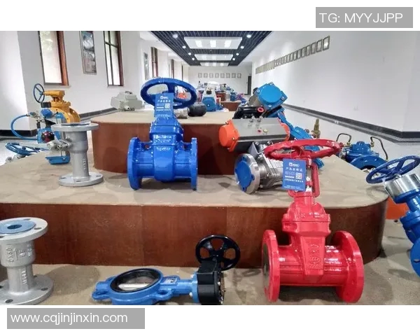 水管阀门的选择与维护技巧及其在家庭水系统中的重要性解析 水管阀门的选择与维护技巧及其在家庭水系统中的重要性解析