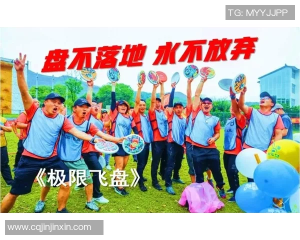 武汉飞盘队在极限运动会中的团队协作表现分析与点评