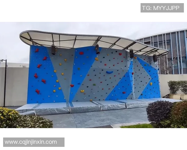 南京攀岩队心理素质深度对比及其对竞技表现的影响分析