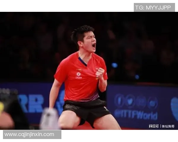 成都乒乓球队实力解析:从青训到职业选手的全面发展之路