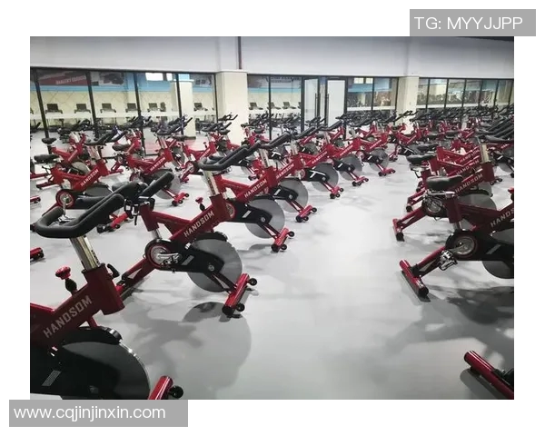 诺迪克品牌健身器材的产品特点分析